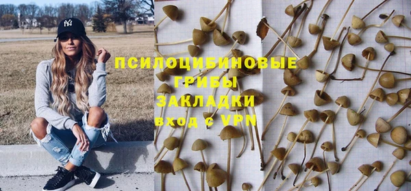 молекула духа Дмитровск