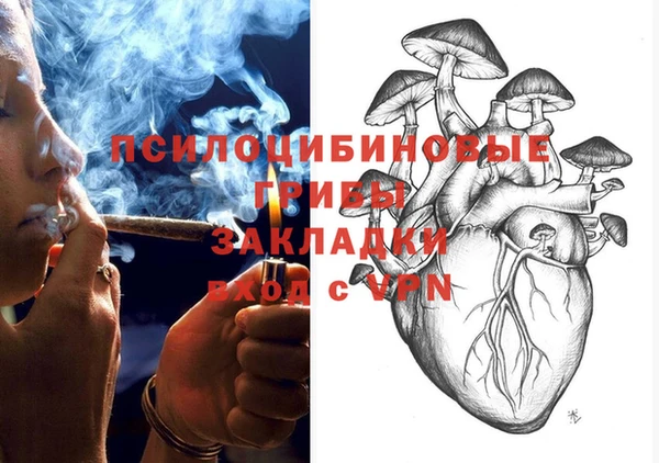 молекула духа Дмитровск