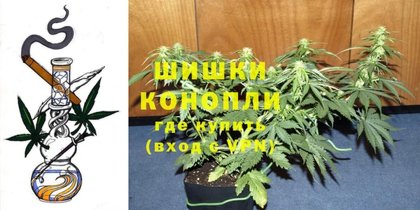 молекула духа Дмитровск
