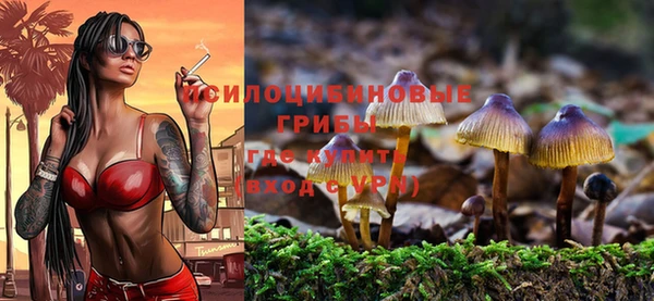 меф Дмитров