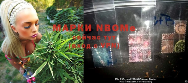 молекула духа Дмитровск