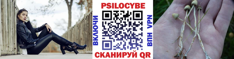 Купить закладки  Дюртюли  Галлюциногенные грибы ЛСД 